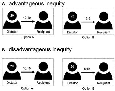 Distinct role of the right temporoparietal junction in advantageous and disadvantageous inequity: A tDCS study